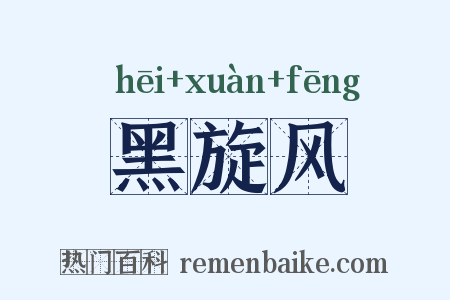 黑旋风是什么意思的图片